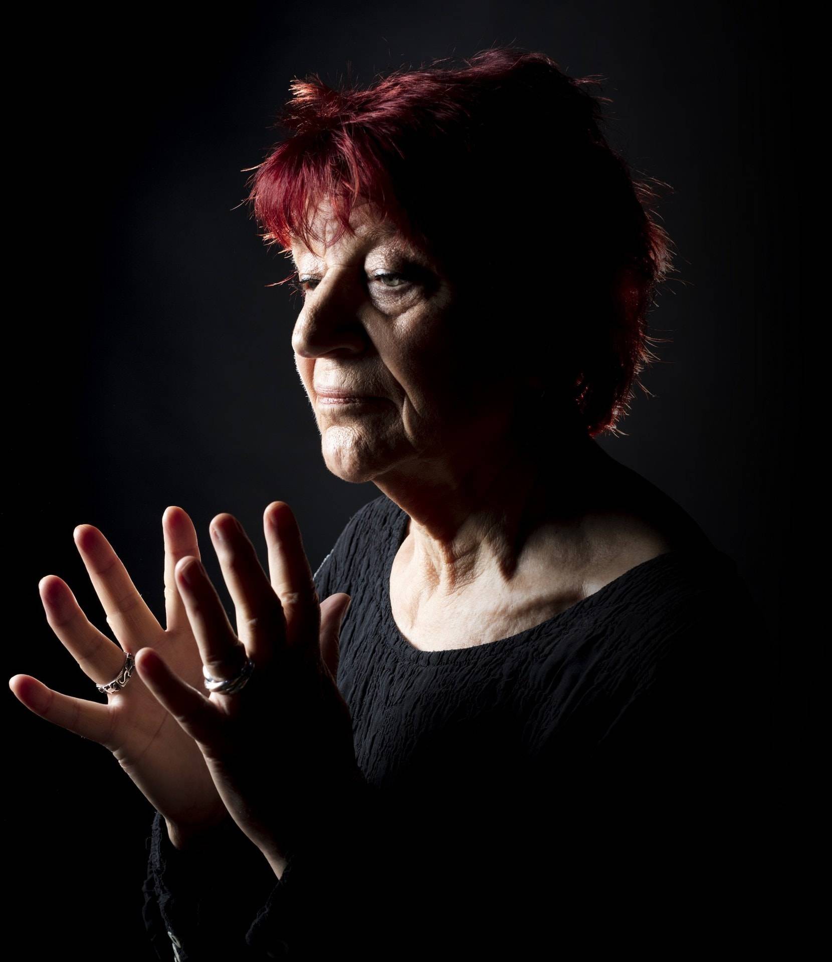 Biographie  Anne Sylvestre